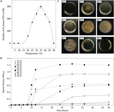 Bacillus firmus Strain I-1582, a Nematode Antagonist by Itself and Through the Plant